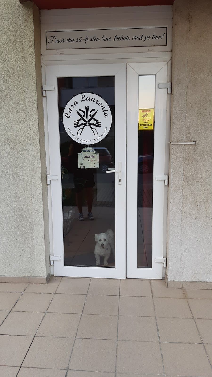 Intrarea atelierului Casa Laurența, Timișoara